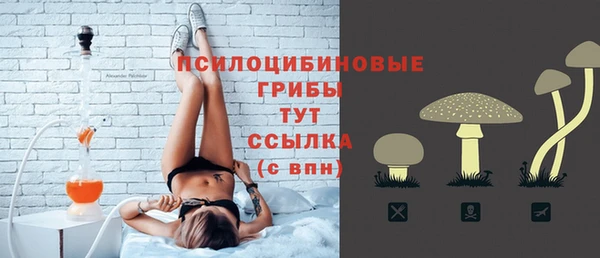 таблы Белокуриха