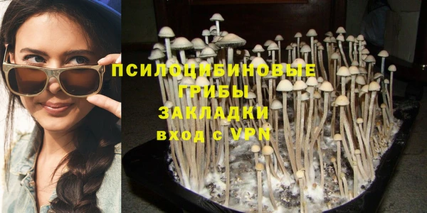 таблы Белокуриха