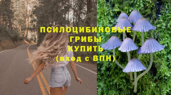 сатива Белоозёрский