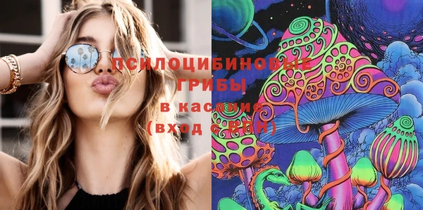 таблы Белокуриха