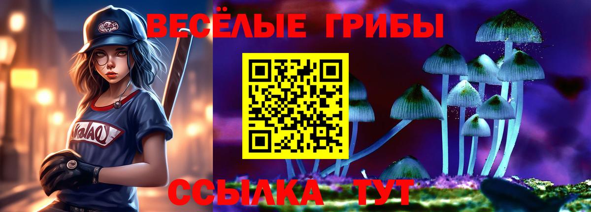 Псилоцибиновые грибы прущие грибы  магазин    Кунгур  Вход с VPN  Галлюциногенные грибы Cubensis 